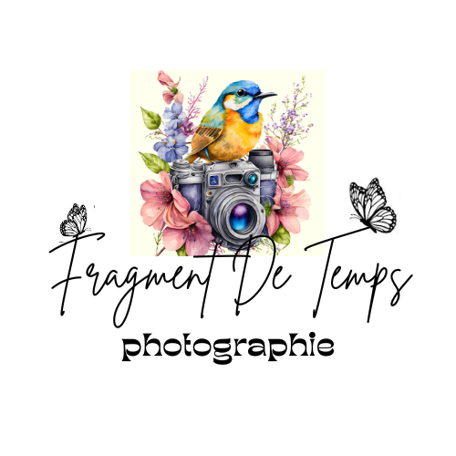 fragment de temps